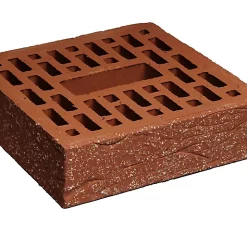 Castorama Bloc Perforé Terre Cuite RNS 22 X 22 X 6,5 Cm