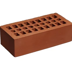 Castorama Brique Perforée Terre Cuite Coquelicot 10,5 X 22 X 6,5 Cm