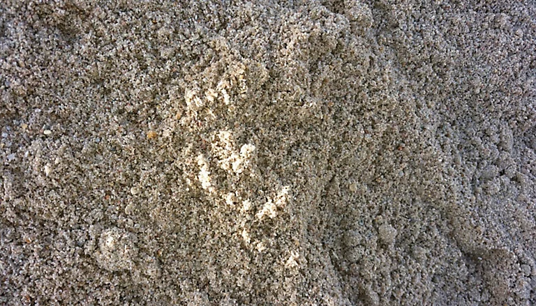 Castorama Vrac Sable à Bâtir +/-1m3 3 Castorama Vrac Sable à Bâtir +/-1m3